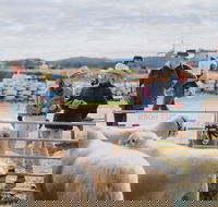 Mudgee Small Farm Field Days - E Caravan Parks