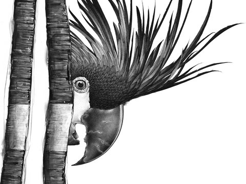 Open Studio's Highlands - Darren Gilbert - E Caravan Parks 2