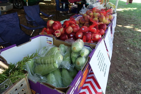 Swan Hill Farmers Market - E Caravan Parks 2
