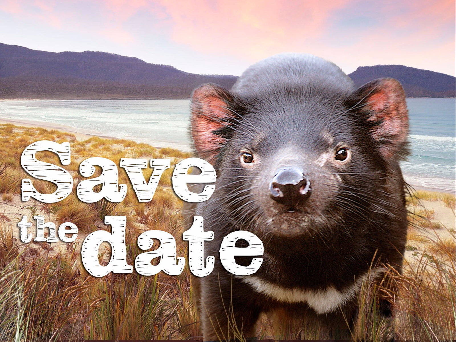 Antill Ponds TAS E Caravan Parks