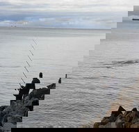 Whale Watching in Portland - E Caravan Parks