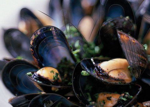 Peppermint Bay - Bar, Dining And Terrace - E Caravan Parks 6