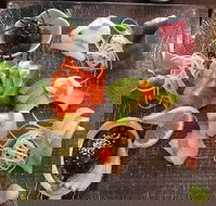 Toshi's Japanese Restaurant - E Caravan Parks