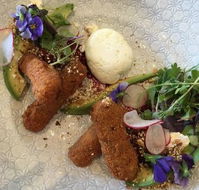 Round Bird Can't Fly - E Caravan Parks