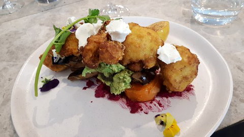 The Dark Horse - E Caravan Parks 0