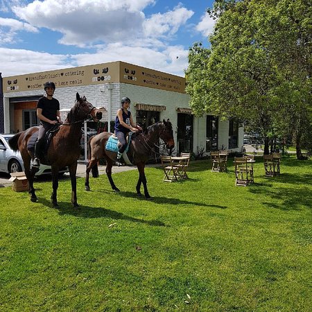 Miss Moose Tuck Shop - E Caravan Parks 0