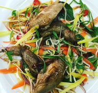 Tuileries Restaurant - E Caravan Parks