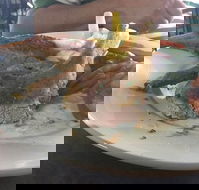 Newmarket Hotel - E Caravan Parks