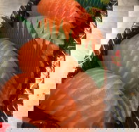 Sushi In - E Caravan Parks