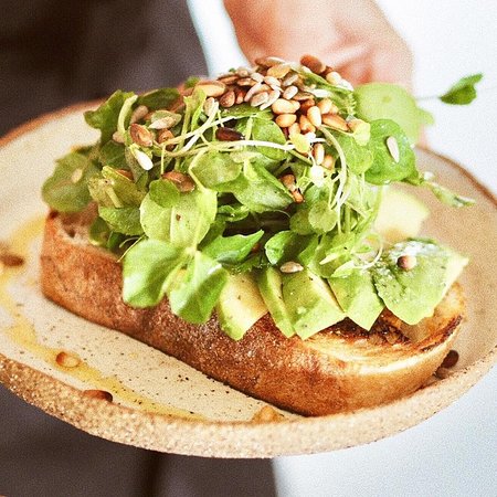 Punch And Daisy - E Caravan Parks 0