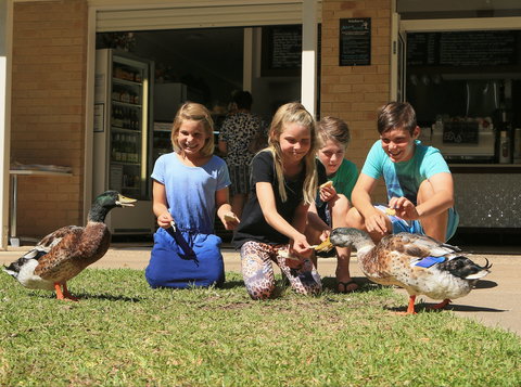 Arkarra Gardens Cafe And Restaurant - E Caravan Parks 2