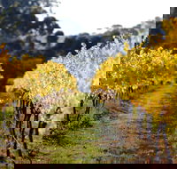 Prickly Moses Brewery - E Caravan Parks