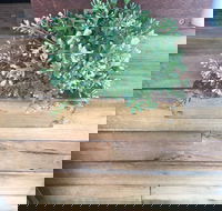 Double Mac - E Caravan Parks