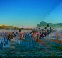 Eastern Peake Winery - E Caravan Parks