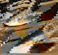 Perso - E Caravan Parks