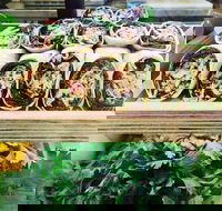 Salud Expresso Bar - E Caravan Parks