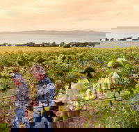 Boston Bay Wines - E Caravan Parks