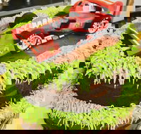 Runaway Cupcakes - E Caravan Parks