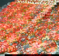 George Street Cafe and Patisserie - E Caravan Parks