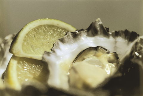 Pearly Oyster Bar And Farm - E Caravan Parks 0