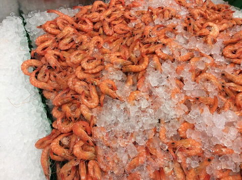 Pearly Oyster Bar And Farm - E Caravan Parks 1