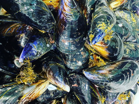 Pearly Oyster Bar And Farm - E Caravan Parks 2