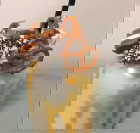 Where Ya Bean - E Caravan Parks