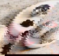 Gelatissimo - Artarmon - E Caravan Parks