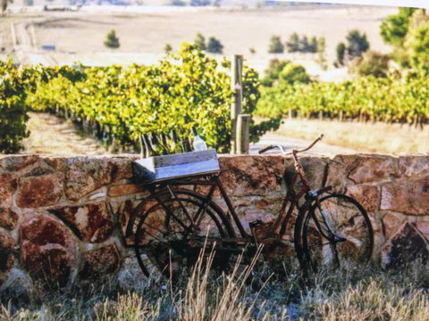 Booths Taminick Cellars - E Caravan Parks 1