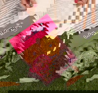 Donut King - Mitchelton