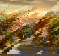 Goldfields Cafe  Bar - E Caravan Parks