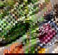 Stone cold - E Caravan Parks