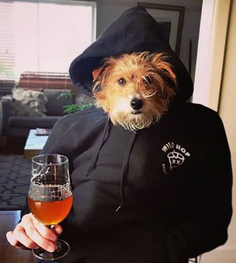 Wild Hop Brewing Company - E Caravan Parks 1