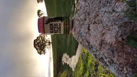 Black Dog Brewery - E Caravan Parks 2