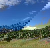 Freycinet Vineyard - E Caravan Parks