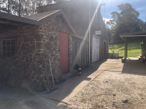 Wilmot Hills Orchard & Distillery - E Caravan Parks 1