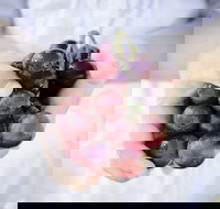 Granitevale Winery - E Caravan Parks