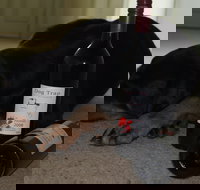 Dog Trap Vineyard - E Caravan Parks