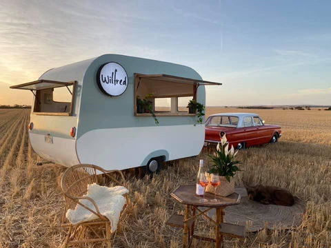 Wilfred The Van - E Caravan Parks 0