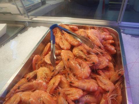 The Boatshed: Batemans Bay - E Caravan Parks 2