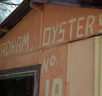 Les Wadham Oysters - Broken Bay Pacific Oysters