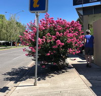 Alpine Gate Cafe - E Caravan Parks