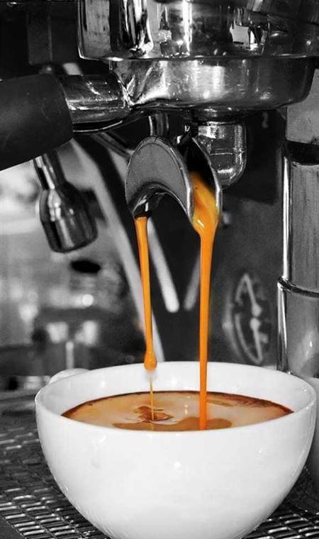 Arthouse Kitchen - E Caravan Parks 7