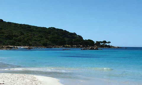 Lush Coffee Lounge - E Caravan Parks 10