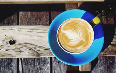 Lush Coffee Lounge - E Caravan Parks 16