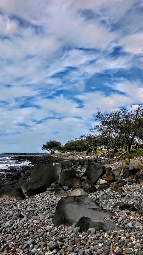 Sea Gypsy Cafe - E Caravan Parks 5
