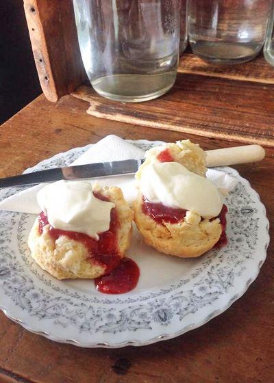 The Dove Cafe - E Caravan Parks 8