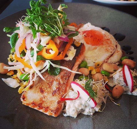 Jacaranda Coffee Lane - E Caravan Parks 3