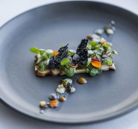 Bombay Bliss (Caloundra) - E Caravan Parks 18