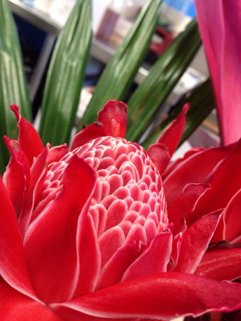 Ebb And Flow Cafe - E Caravan Parks 3